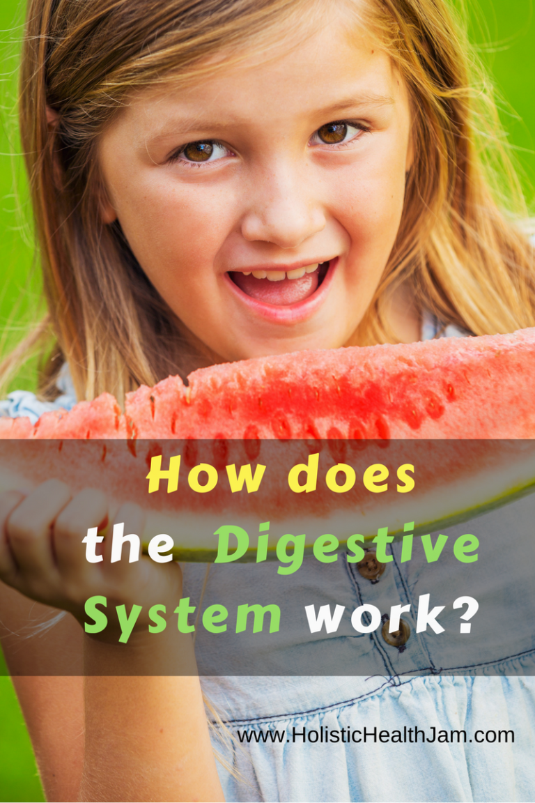 does digestive freedom plus really work does digestive freedom plus really work