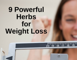 Low Calorie Sparkling Water for Weight Loss