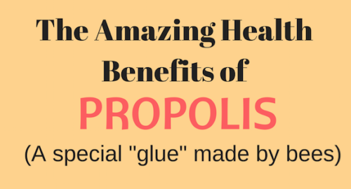 The Amazing Health Benefits Of Propolis