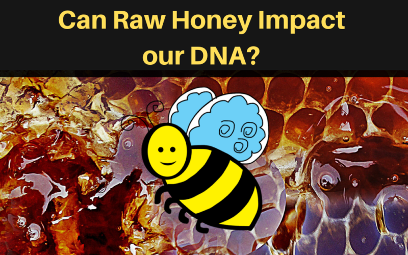Can Raw Honey Impact our DNA? • Holistic HealthJam