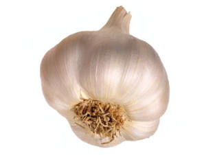 Garlic, the powerhouse of healthy living